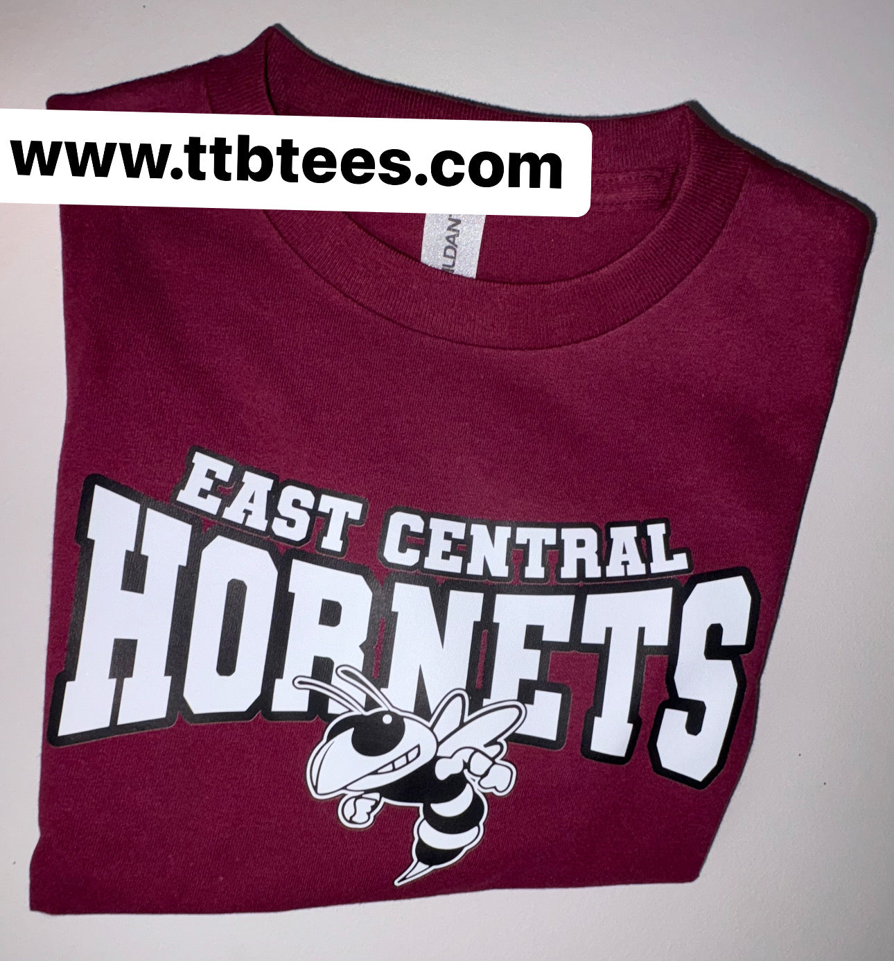 East Central Hornets