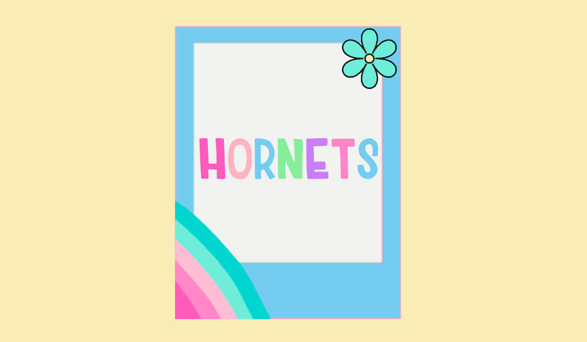 HORNETS
