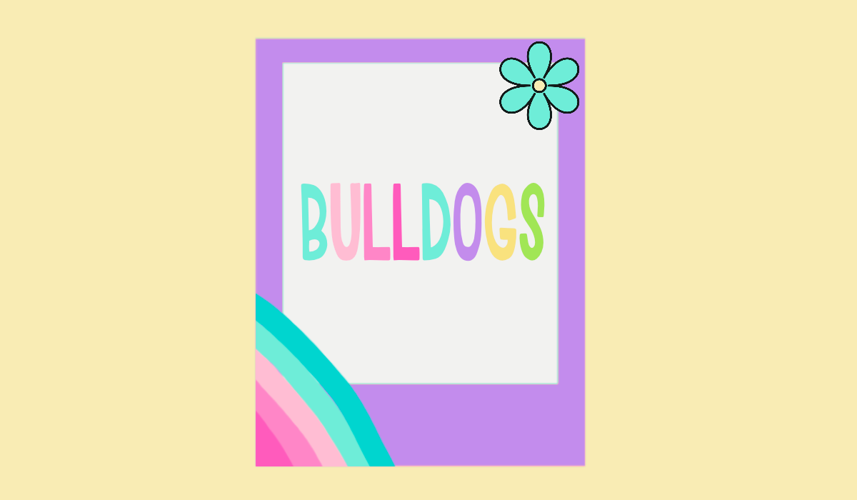 BULLDOGS