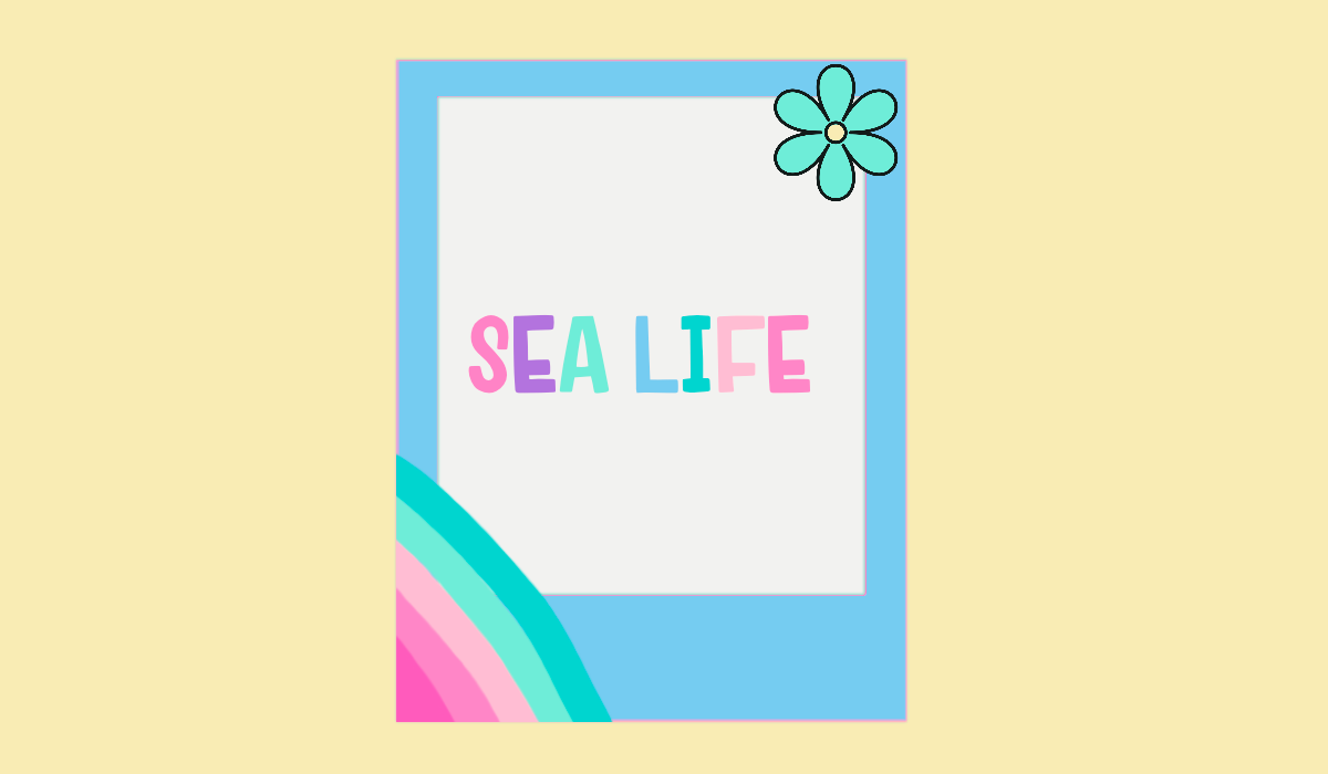 Sea Life