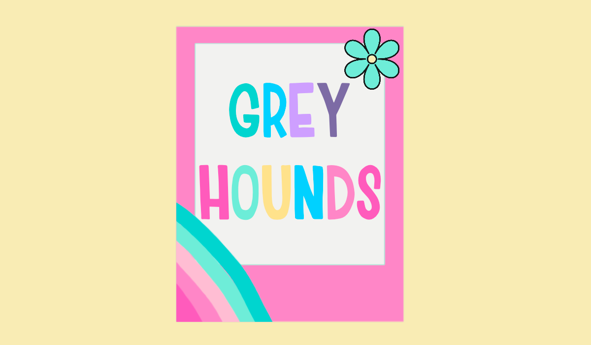 GREYHOUNDS