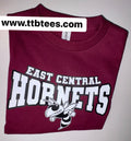 East Central Hornets