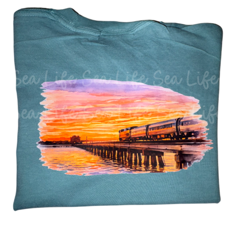 Amtrak Train - comfort colors- sea life