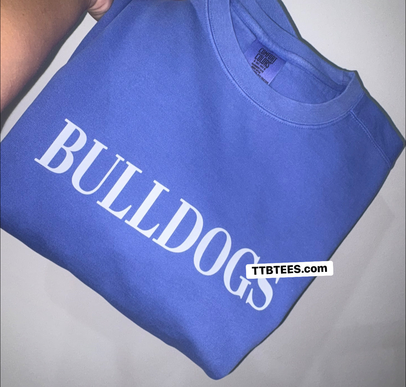 Adult Large: Comfort Colors Sweatshirt