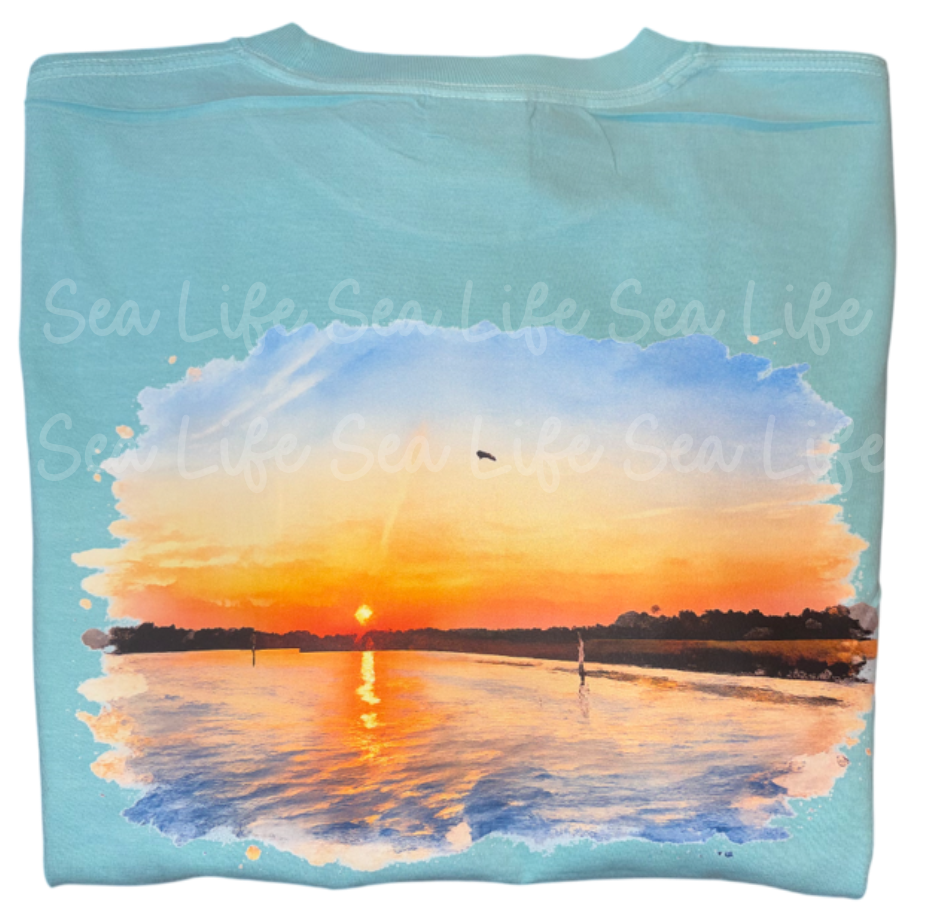 Fort Bayou- Comfort colors
