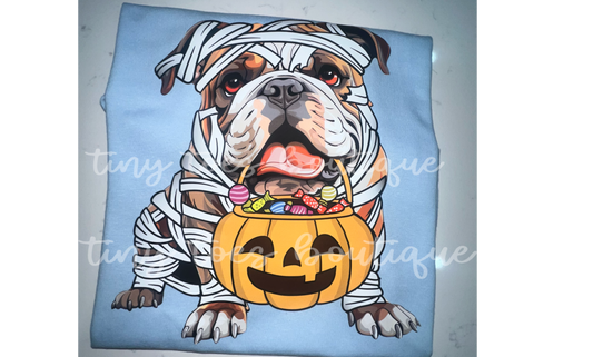Pumpkin Bulldog