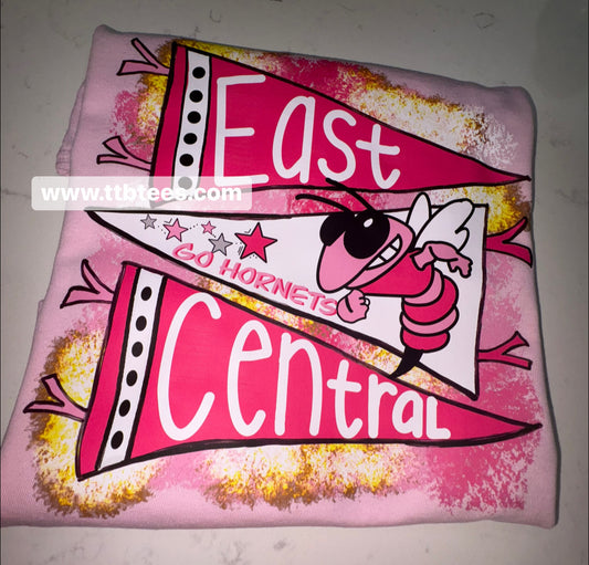 East Central Hornets- pink theme