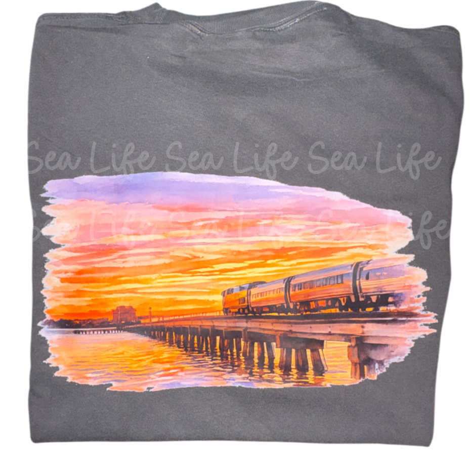 Amtrak Train - comfort colors- sea life
