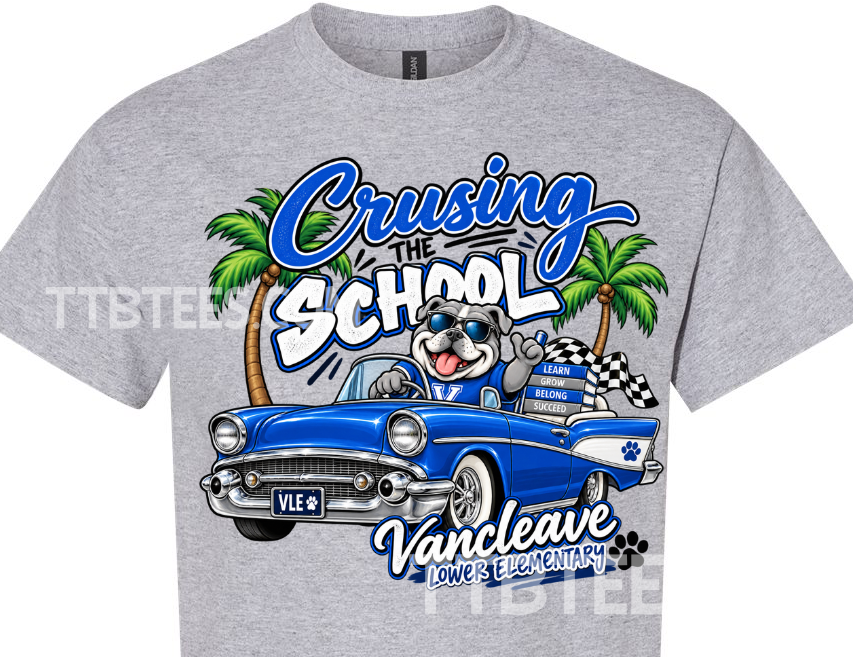 Crusing the school - VLE