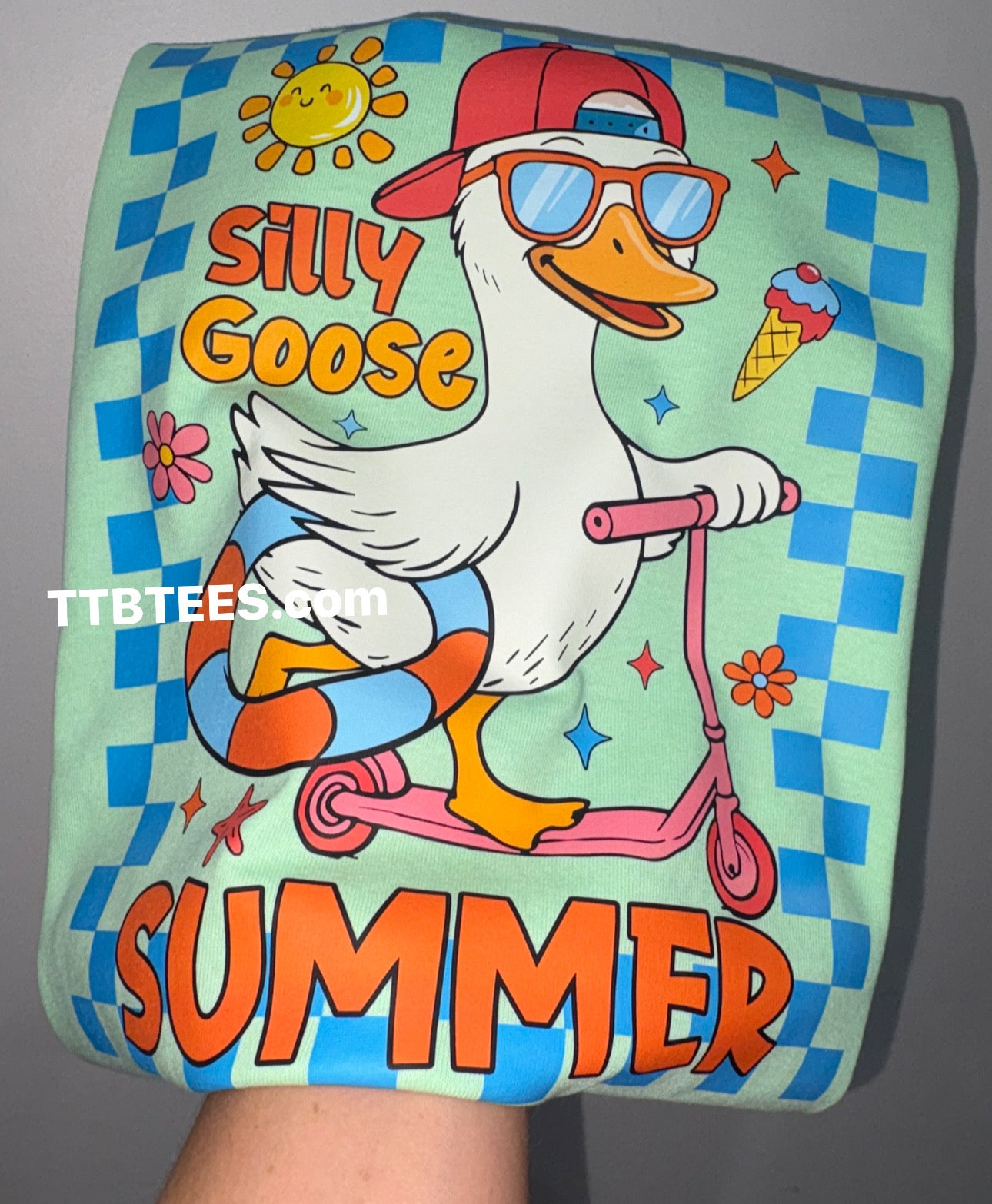 Silly goose summer